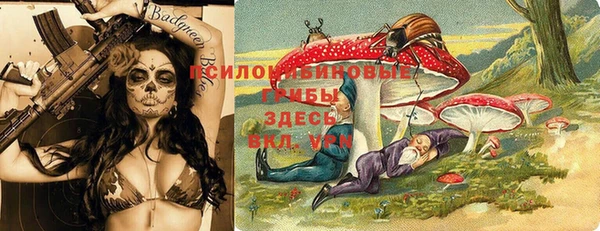 амф Алексеевка