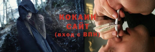 молекула духа Дмитров