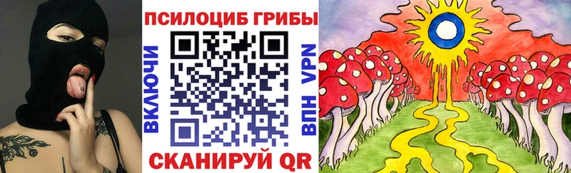 Псилоцибиновые грибы прущие грибы  KRAKEN ТОР  Бобров 